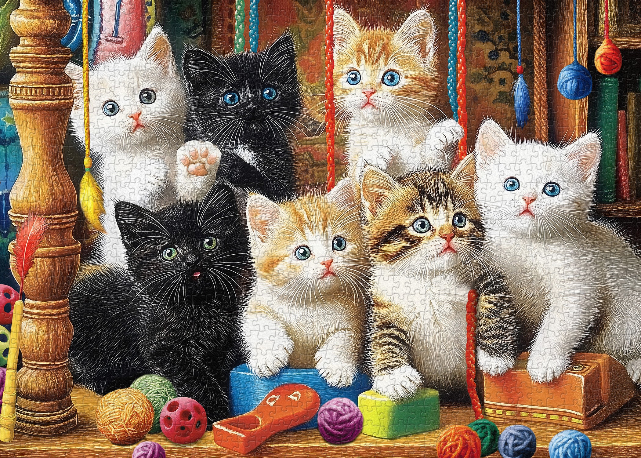 Pieci 1000 di gattini di gattini 1000 pezzi