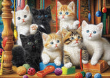 Pieci 1000 di gattini di gattini 1000 pezzi