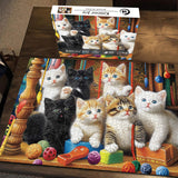 Pieci 1000 di gattini di gattini 1000 pezzi