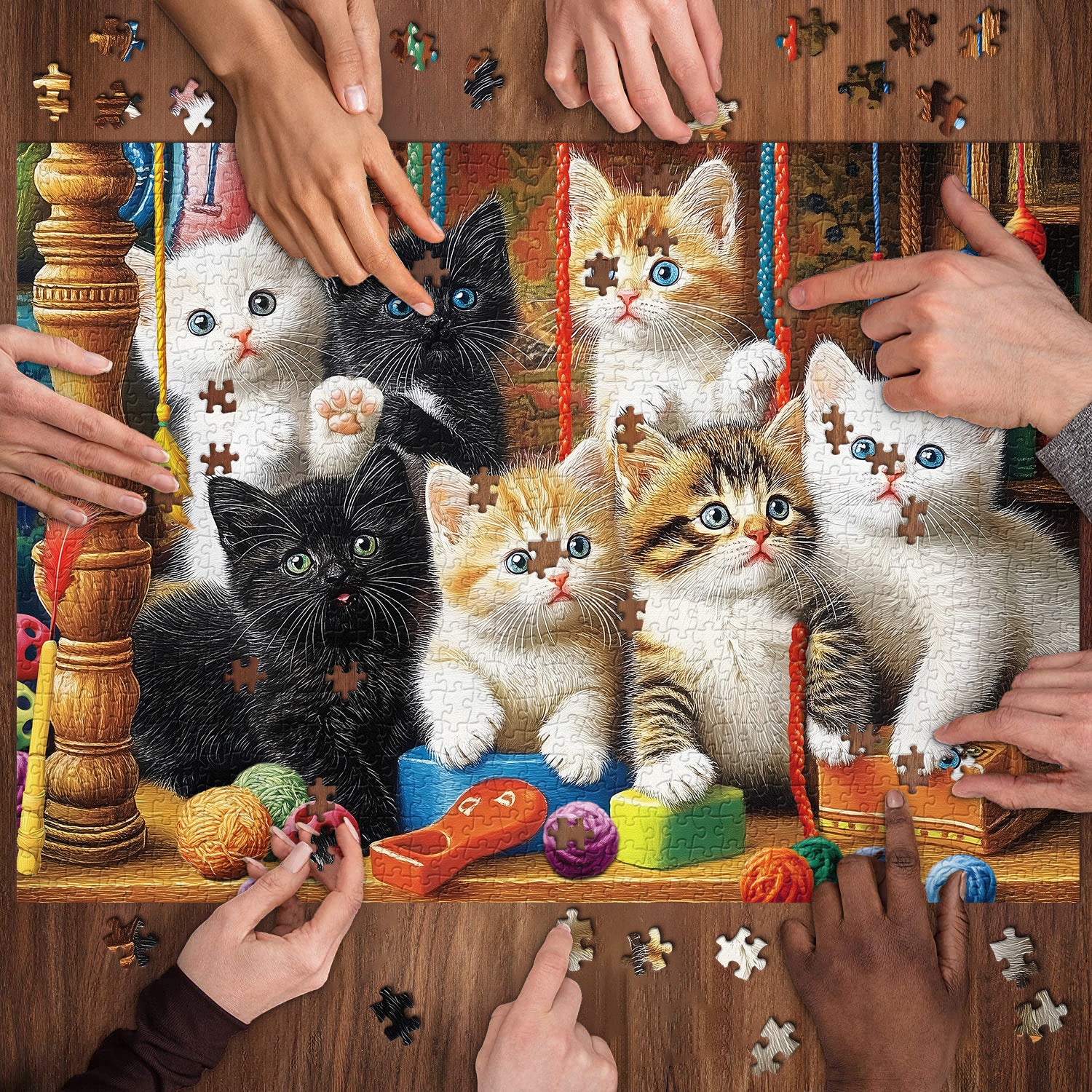 Pieci 1000 di gattini di gattini 1000 pezzi