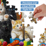 Pieci 1000 di gattini di gattini 1000 pezzi