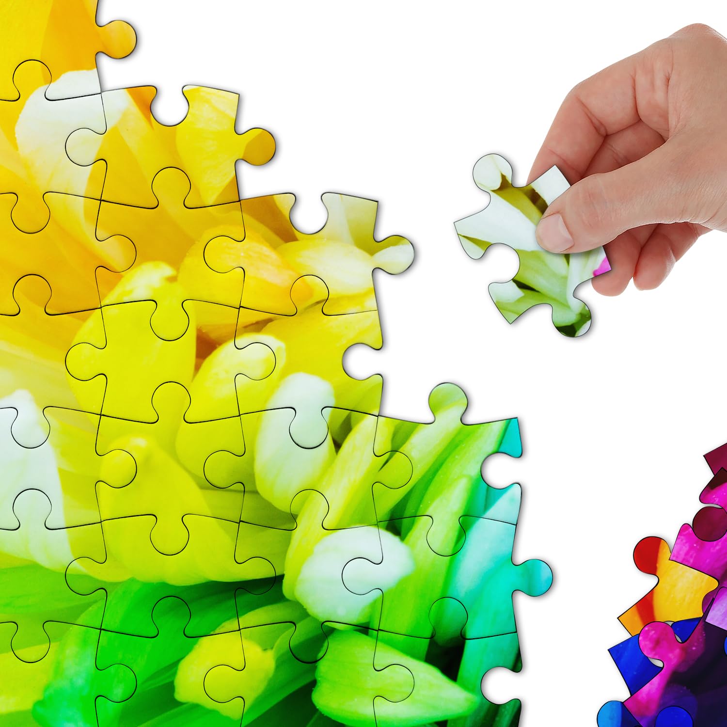 Impossibile crisantemo colorato puzzle puzzle 1000 pezzi