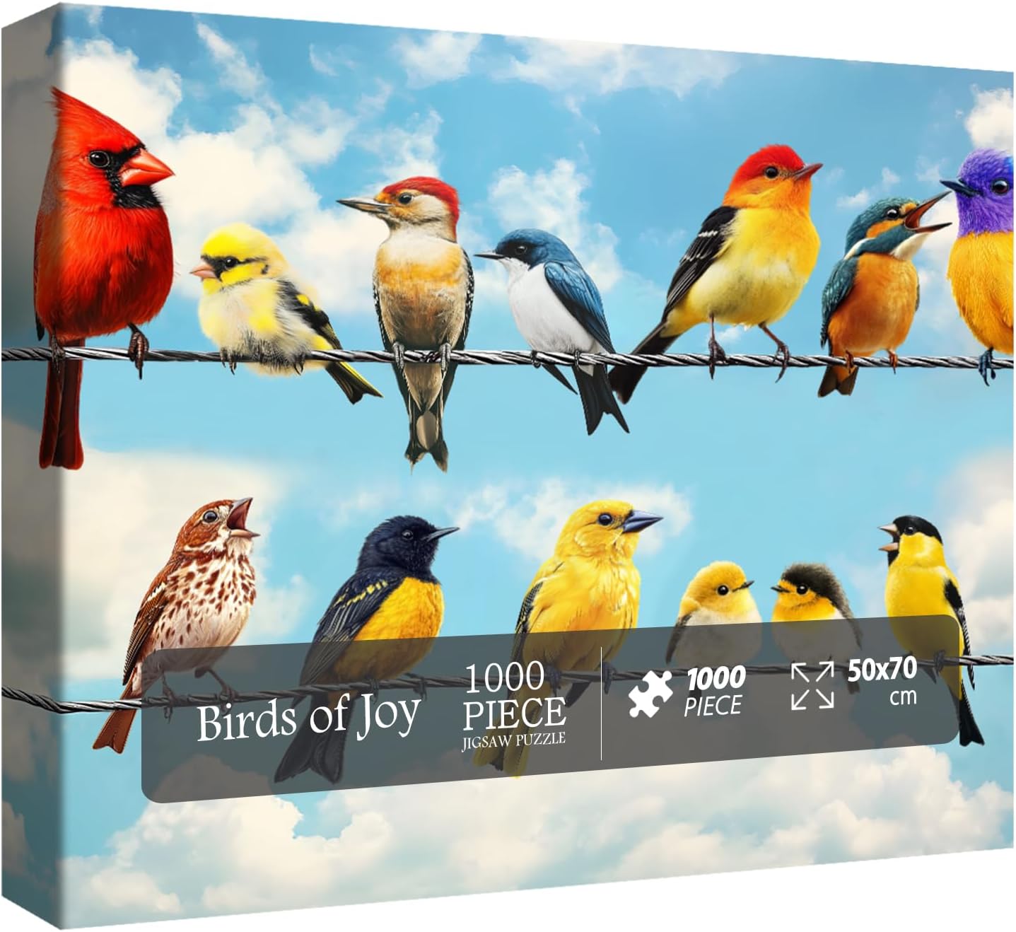 Birds of Joy Puzzle de puzzle 1000 pièces
