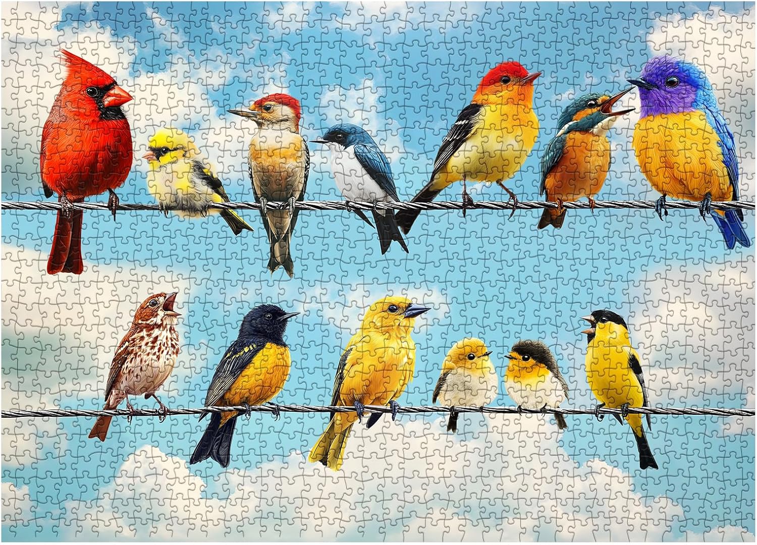 Birds of Joy Puzzle de puzzle 1000 pièces
