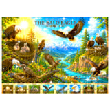 Eagle Life Cycle Diamond Painting Kit