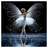 Butterfly Ballet Jigsaw Puzzle 1000 Pieces