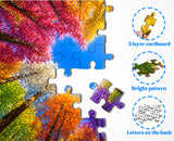 Rainbow Forest Jigsaw Puzzle 1000 Pieces