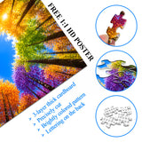 Rainbow Forest Jigsaw Puzzle 1000 Pieces