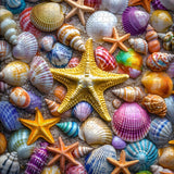 Bunte Muscheln Puzzles 1000 Stücke