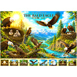 Eagle Life Cycle Diamond Painting Kit
