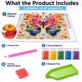 Colorful Wings Diamond Painting Kit