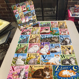 Alphabet Cats Jigsaw Puzzle 1000 Piece