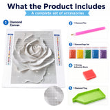 White Whirl Diamond Painting Kit