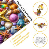 Bunte Muscheln Puzzles 1000 Stücke