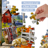 Frenzy Passizzy Puzzle 1000 pièces