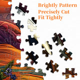 Frenzy Passizzy Puzzle 1000 pièces