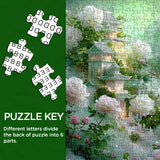 Frenzy Passizzy Puzzle 1000 pièces